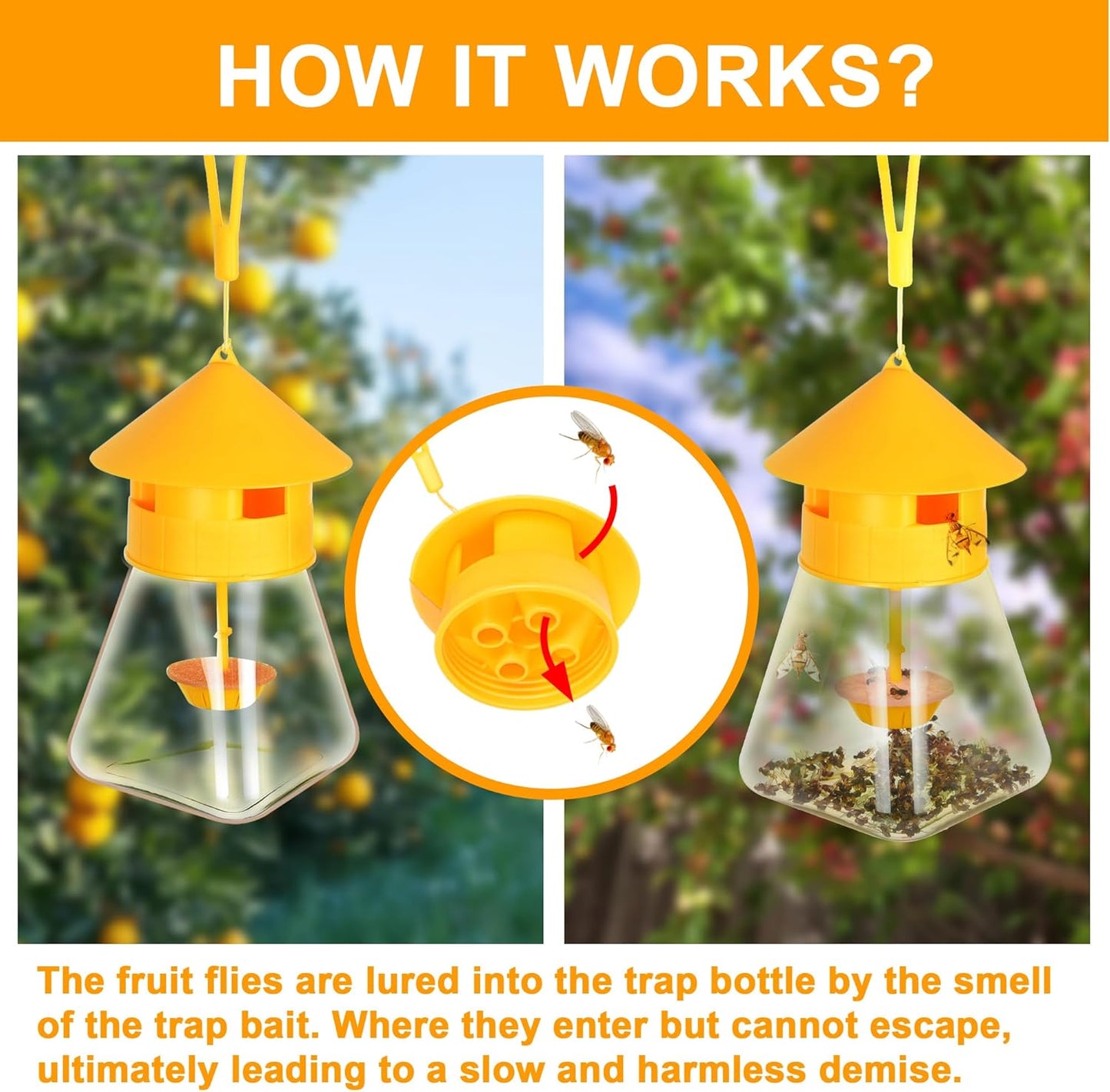 Outdoor Fly Traps with Natural Fruit Fly Bait Refill,Reusable Fruit Flies Trap Jar for Fruit and Vegetable Garden(Only Catch Fruit Trees and Melon Vines Fly)