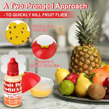 Qualirey Fruit Fly Trap for Indoors, 4 Pack Fruit Fly Trap with 4 Refill Liquid and 60 Yellow Sticky Pads, Safe Near Pets, Food and Kids, Fruit Flies Lure Liquid Trap for Home Kitchen