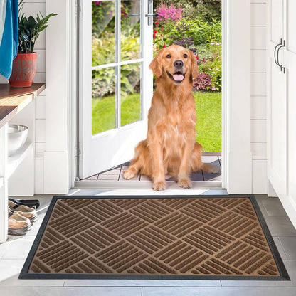 DM23 Heavy Duty Front Door Mats Non Slip Rubber Backing Entrance Mat Shoes Scraper Welcome Mat
