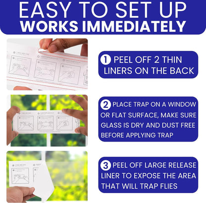 50 Window Fly Traps Sticky Non-Toxic Clear Fly Paper Indoor for Home. No Mess Flies Window Sticky Traps Bug Flies Strips Indoors. Fruit and Housefly Trap Indoor Flypaper Tape Gnat Catcher Killer.