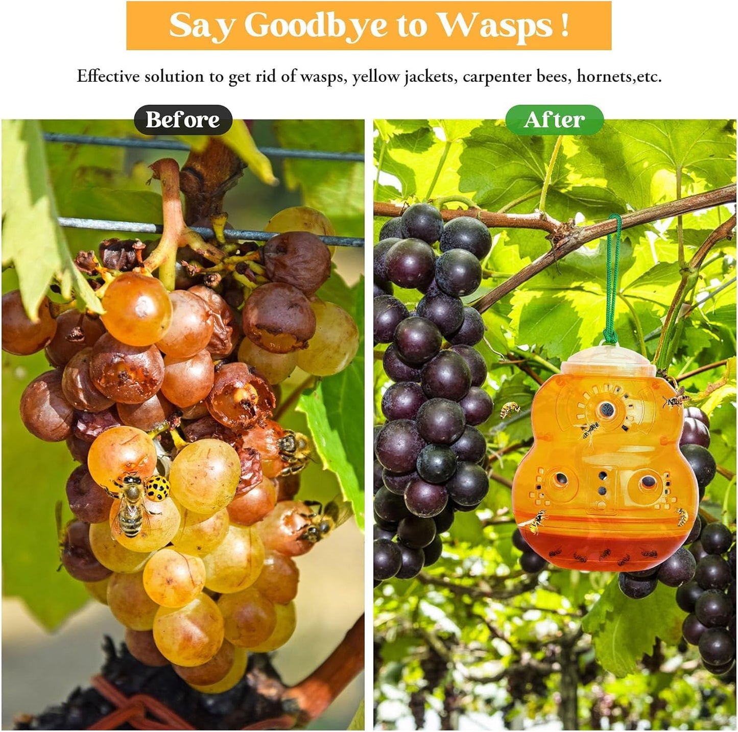 2 Pack Wasp Traps Outdoor Hanging | Carpenter Bee Traps for Outside Yellow Jacket Trap Wasp Killers Bee Catcher Hornet Trap for Outdoor Farm Garden (Orange)
