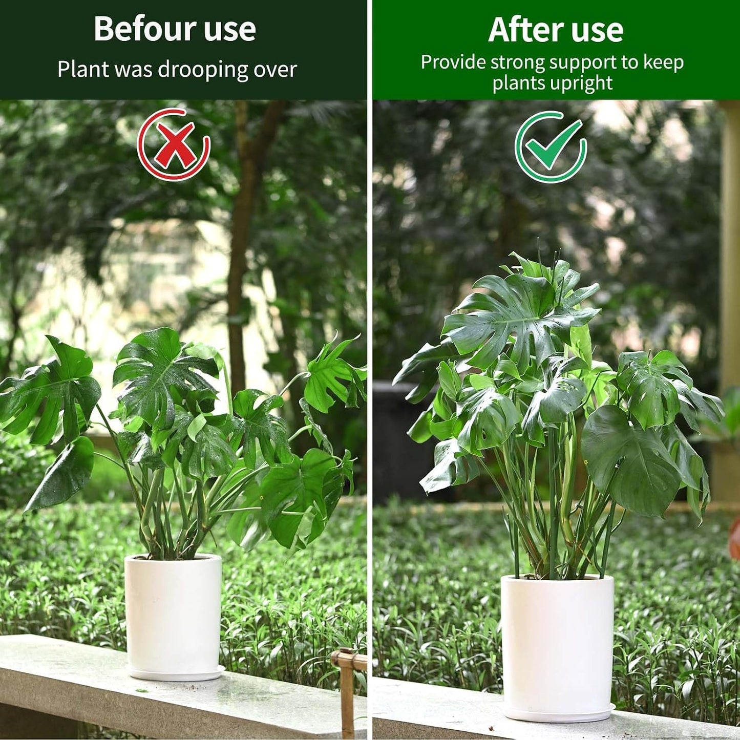 Yhtpouqe 12 Pack Plant Support Stakes, Plant Stakes for Indoor and Outdoor Plants. 39.37inch Plant Sticks with Extension Poles, Plant Clips, Plant Ties for Potted Monstera Plants, Climbing Plants