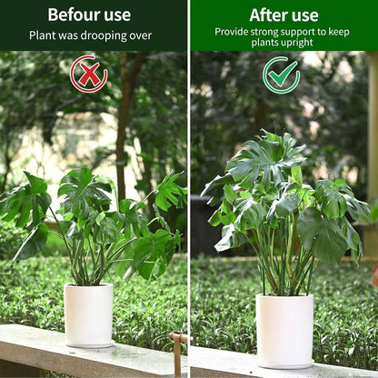 Yhtpouqe 12 Pack Plant Support Stakes, Plant Stakes for Indoor and Outdoor Plants. 39.37inch Plant Sticks with Extension Poles, Plant Clips, Plant Ties for Potted Monstera Plants, Climbing Plants