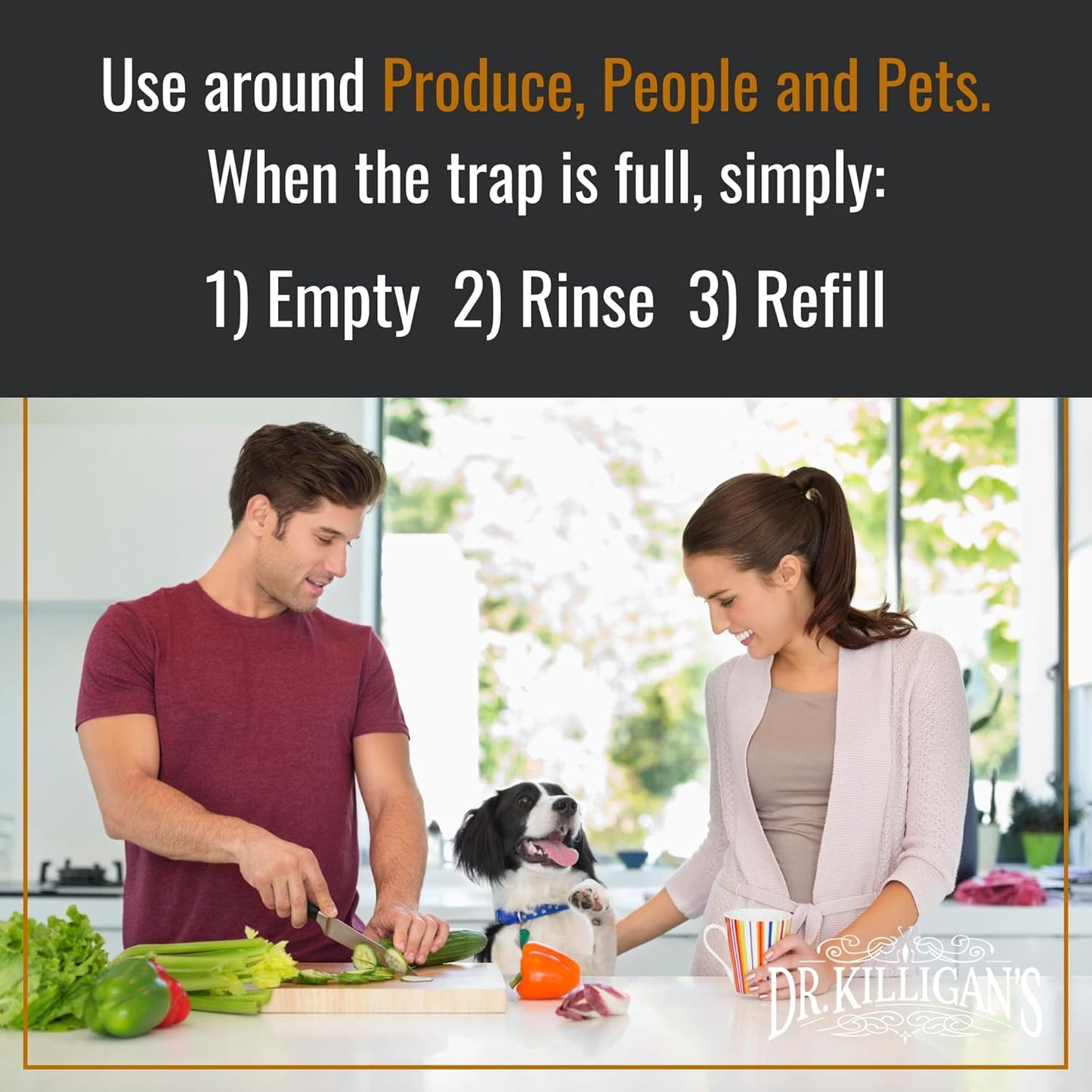 Dr. Killigan's Reusable Fruit Fly Traps for Indoors - Washable with 2 Refills, 80+ Day Supply, Highly Effective for Home and Kitchen