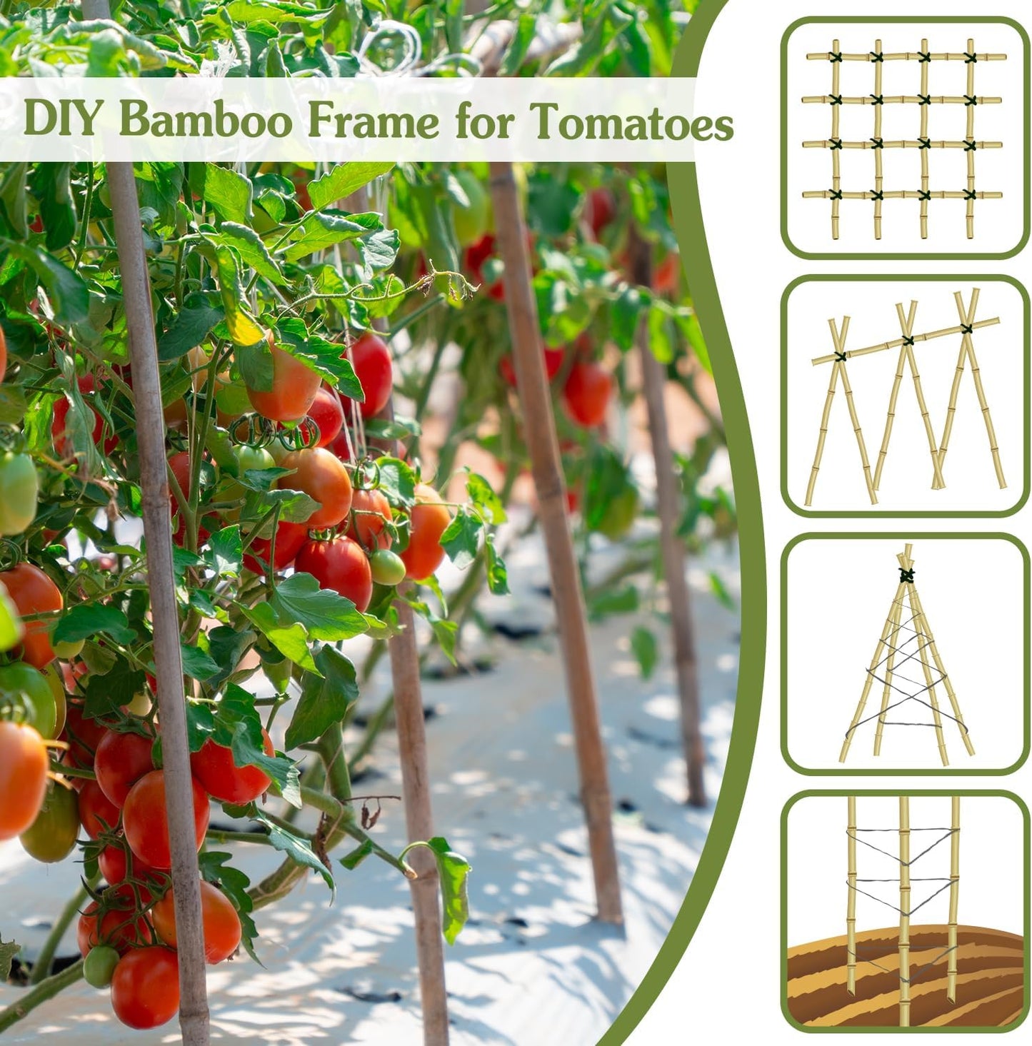 Plant Stakes 18inch, 20Pcs Natural Bamboo Sticks Garden Stakes, HAINANSTRY Plant Support Stakes for Indoor & Outdoor Plants, Orchid Tomato Vegetable Stakes for Garden