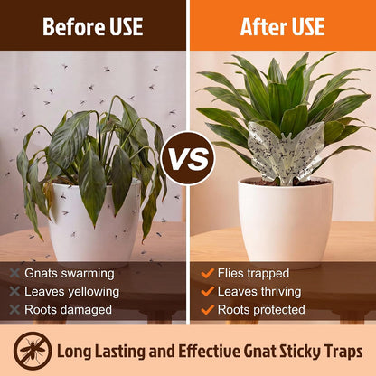 100 Pack Gnat Traps, Double Sided Plant Sticky Traps for Flying Insects, Clear Flying Bug Catcher for Indoor Outdoor Fruit Flies, Mosquitoes, Easy Release Liner for Plants, House