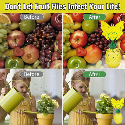 Fruit Fly Trap for Indoors, Effective Fruit Fly Catcher Gnat Killer with Sticker, Gnat Traps for House Indoor with Bait, Non-Toxic Reusable Easy to Use Fly Trap for Kitchen Home - 2 Pack, Clear Yellow