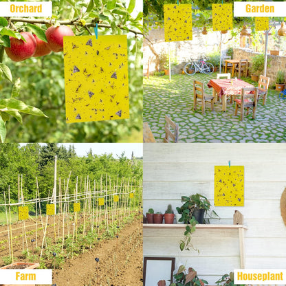 40 Pack Fungus Gnat Traps for House Indoor Yellow Sticky Traps for Gnats Sticky Traps for Plants, Dual-Sided Fungus Gnat Sticky Traps Fruit Fly Traps for Indoors