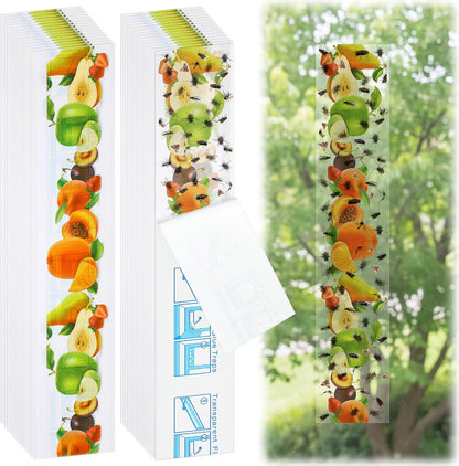 Qualirey 30 Pack XL Window Fly Traps for Indoors, Extra Large Fly Paper Sticky Strips, Waterproof & Non Toxic Clear Sticky Traps for Windows, Bug Catcher for House, Kitchen and Office(15"×3")