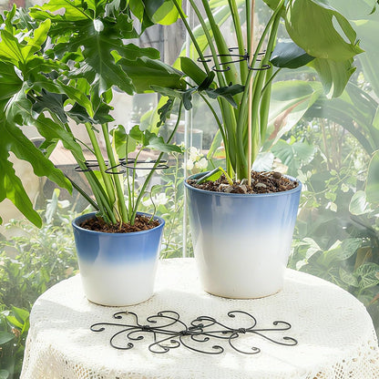 Yohsnor Monstera Plant Stem Support System - 5 Piece Set (5.5x4.7in) | Durable Plant Support Stakes for Climbing Plants & Fishbone Cactus | Ideal Leaf Stabilizer for Indoor Plants & Monstera Care