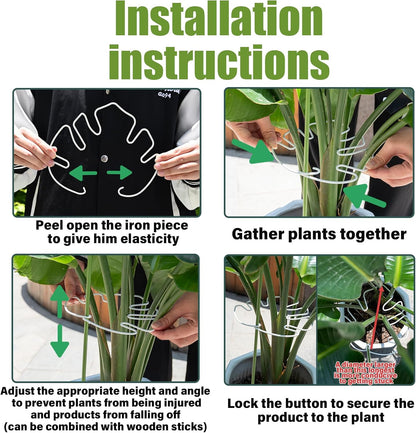 Yohsnor Monstera Plant Stem Support System - 5 Piece Set (5.5x4.7in) | Durable Plant Support Stakes for Climbing Plants & Fishbone Cactus | Ideal Leaf Stabilizer for Indoor Plants & Monstera Care