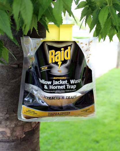 Raid Yellow Jacket, Wasp & Hornet Trap, 6 Pack, Disposable, Convenient, Hanging Fly Trap Bags with Food-Based Lure, No-Spray Outdoor Fly Traps Suitable Defense for Yards, Patios & Campsites