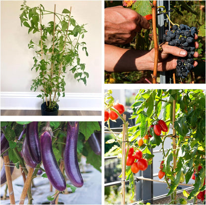 Plant Stakes 18inch, 20Pcs Natural Bamboo Sticks Garden Stakes, HAINANSTRY Plant Support Stakes for Indoor & Outdoor Plants, Orchid Tomato Vegetable Stakes for Garden