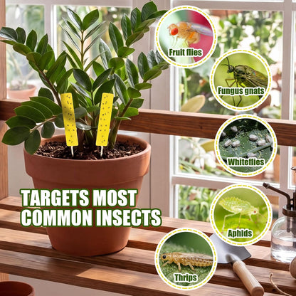 36 PCS Yellow Sticky Traps for Plant Gnats, Dual Sided Fungus Gnat Trap for Live Plants Indoor Outdoor, Waterproof Plant Sticky Traps for Home, Farm, Garden, Hydroponics & Greenhouse (4" x 1")