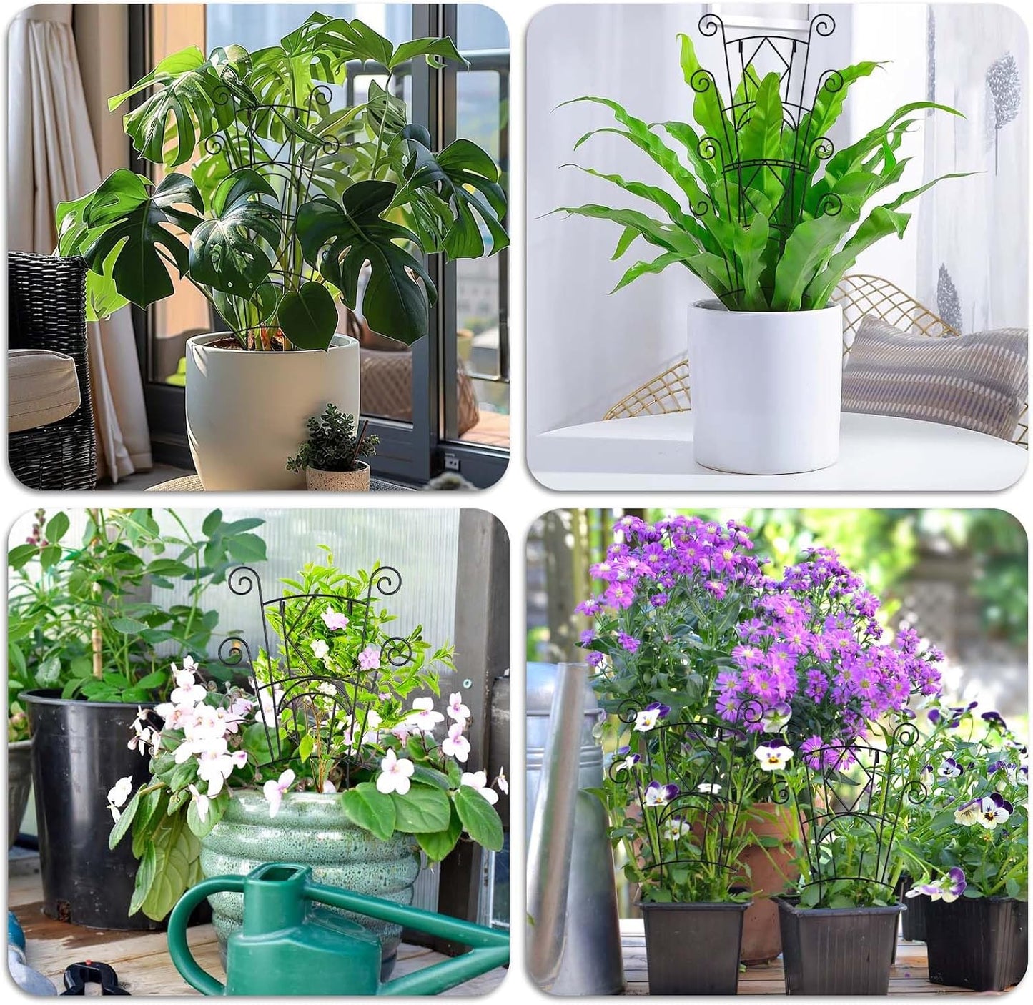 Yhtpouqe Stackable Plant Support Stakes, 2 Pack Metal Twig Plants Trellis for Indoor and Outdoor Use, Garden Accessories for House Potted Flower Monstera Trumpets 15.35 inch