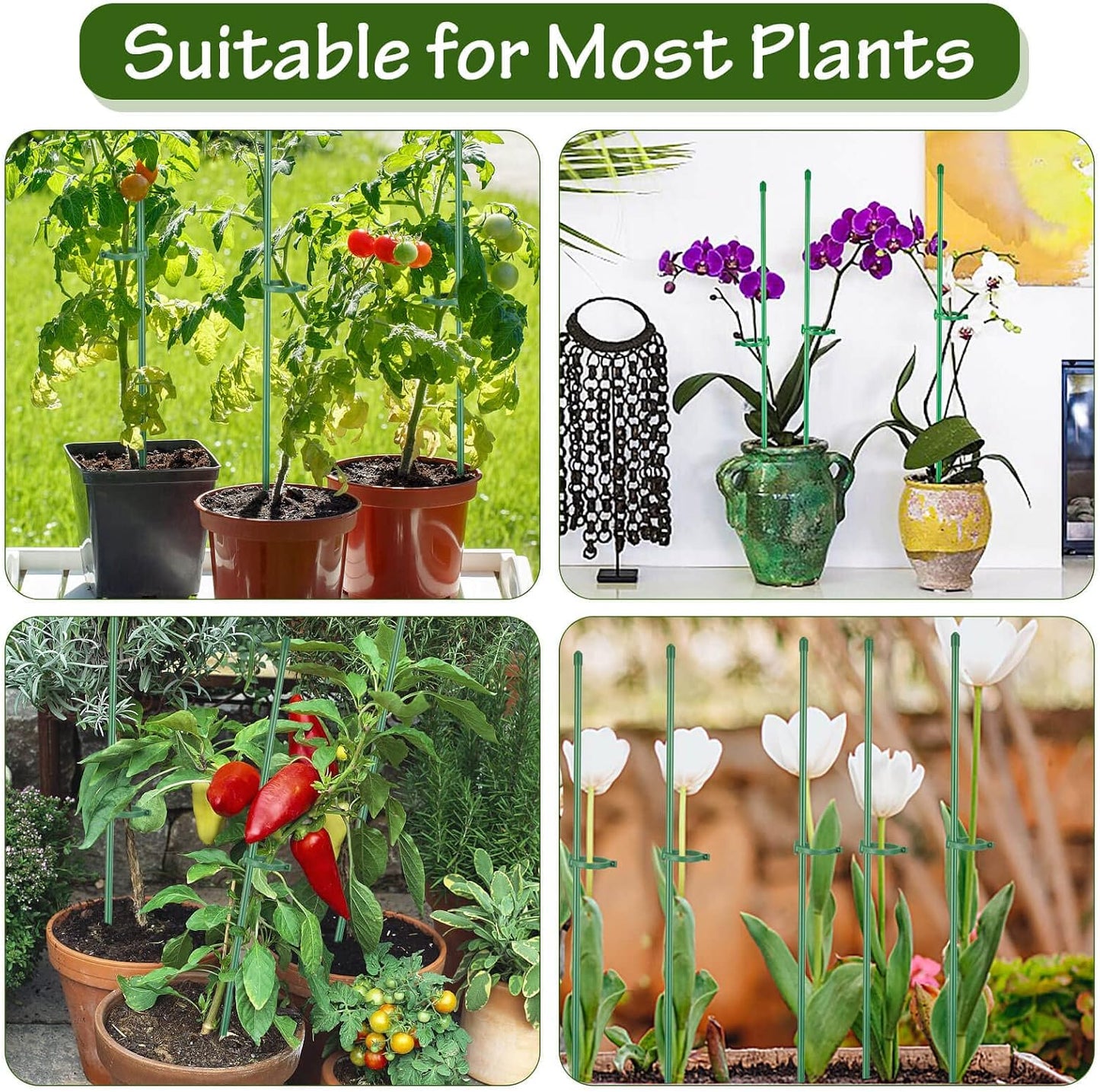76pcs Plant Stakes for Indoor Plants, 25 Pack 16 inch Plant Support Stakes | Fiberglass Garden Plant Sticks Support with Rings Clips &Tie for Indoor and Outdoor Plants Flowers Tomatoes Orchid