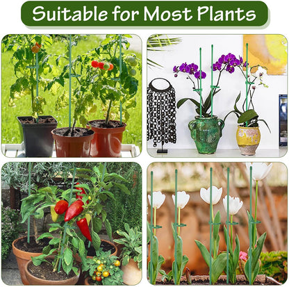 76pcs Plant Stakes for Indoor Plants, 25 Pack 16 inch Plant Support Stakes | Fiberglass Garden Plant Sticks Support with Rings Clips &Tie for Indoor and Outdoor Plants Flowers Tomatoes Orchid