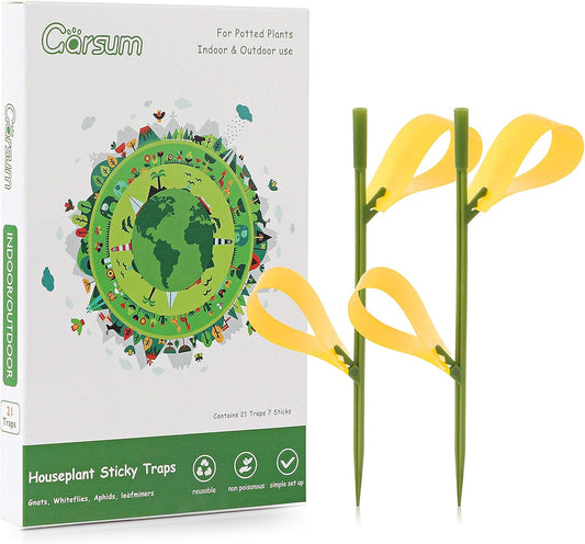 Garsum Fruit Fly Sticky Trap for Indoor and Outdoor, 36 Pack Fungus Gnat Killer for Houseplant,Mosquitos, Flying Insect, White Flies