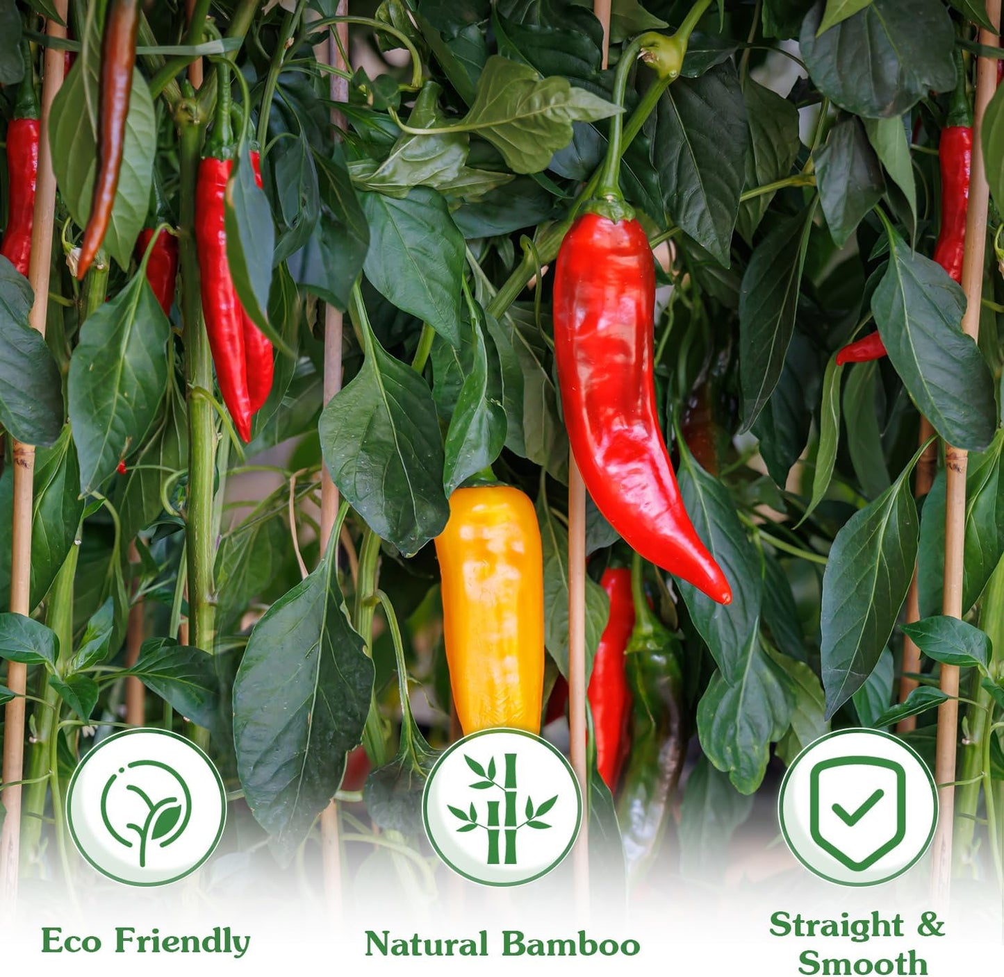 Plant Stakes,20Pcs Bamboo Stakes,18 Inches Natural Bamboo Plant Support Stakes,Bamboo Stakes for Indoor and Outdoor Plants Tomatoes Beans Flowers Potted Plants Climbing Support