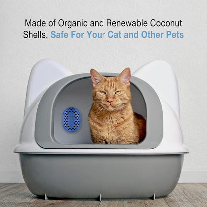 Remodeez Fridge Deodorizer Refill Pods, Activated Charcoal 2-Pack