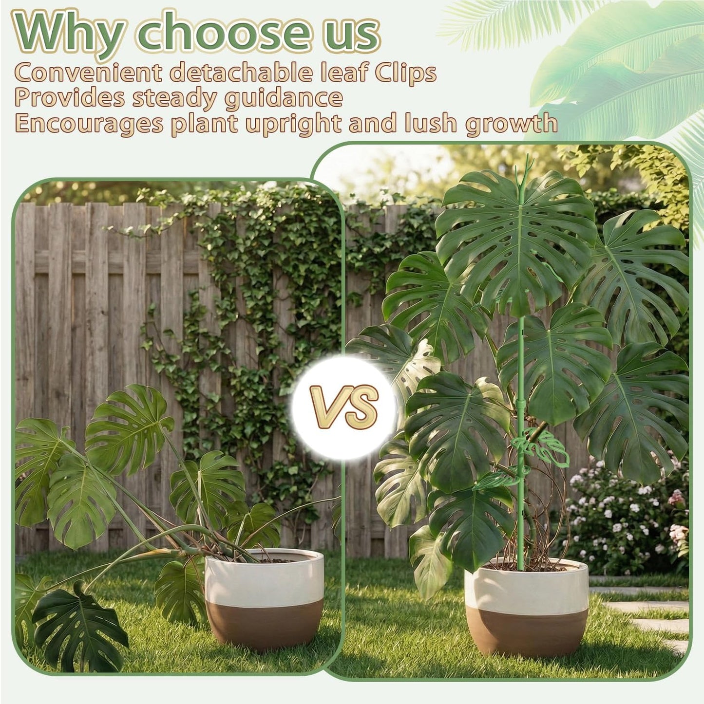 Telescoping Monstera Plant Support Stakes, Adjustable Climbing Plant Stakes | 21 - 43.3in Stakes with Detachable Monstera Leaf Clips; Supports Pothos, Tomatoes, Indoor & Garden Plants