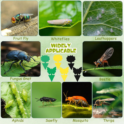 120 Pack Fruit Fly Traps Fungus Gnat Sticky Traps Yellow Black Green Plant Fly Stickers Double Side with Shovel for Indoor Outdoor Kitchen Garden Houseplant Flying Bug Insect (Flower)