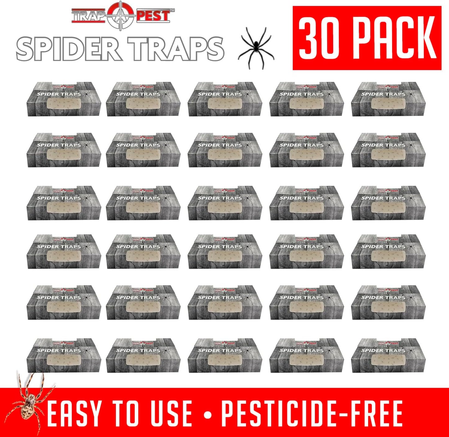 Spider Traps for Inside Your Home (16 Traps) - Spider Catcher Insect Traps Indoor - Spider Traps Indoor Bug Traps Sticky Traps for Spiders - Pre Baited Ultra Sticky Insect Glue Traps - Trap a Pest