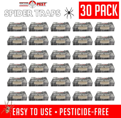 Spider Traps for Inside Your Home (16 Traps) - Spider Catcher Insect Traps Indoor - Spider Traps Indoor Bug Traps Sticky Traps for Spiders - Pre Baited Ultra Sticky Insect Glue Traps - Trap a Pest