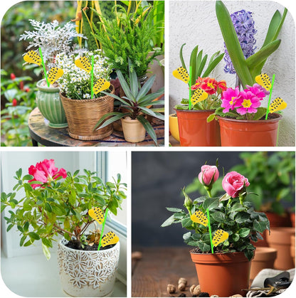 Fruit Fly Traps, 100 Pack Yellow Sticky Traps, Fungus Gnat Traps, Plant Fly Stickers for Indoor and Outdoor Use Protect The Plant