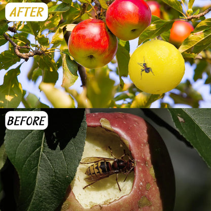 Qualirey 10 Pcs Sticky Fruit Fly Trap Ball Adhesive Fly Catching Ball Sticky Glue Fly Gnat Wasp Hornet Mosquito Bugs Flying Insects Trap Ball Traps (Yellow)