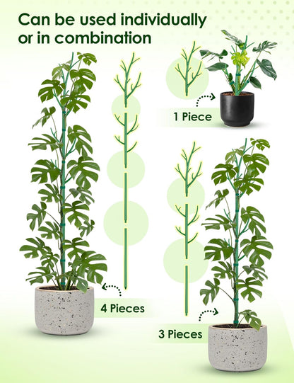 NiHome Comprehensive Plant Support Stake Set of 6 - Durable, UV Resistant 39.5" Stakes with Extension Poles, Orchid Clips & Plant Ties for Climbing Indoor & Outdoor Plants, Monstera, Pothos & More