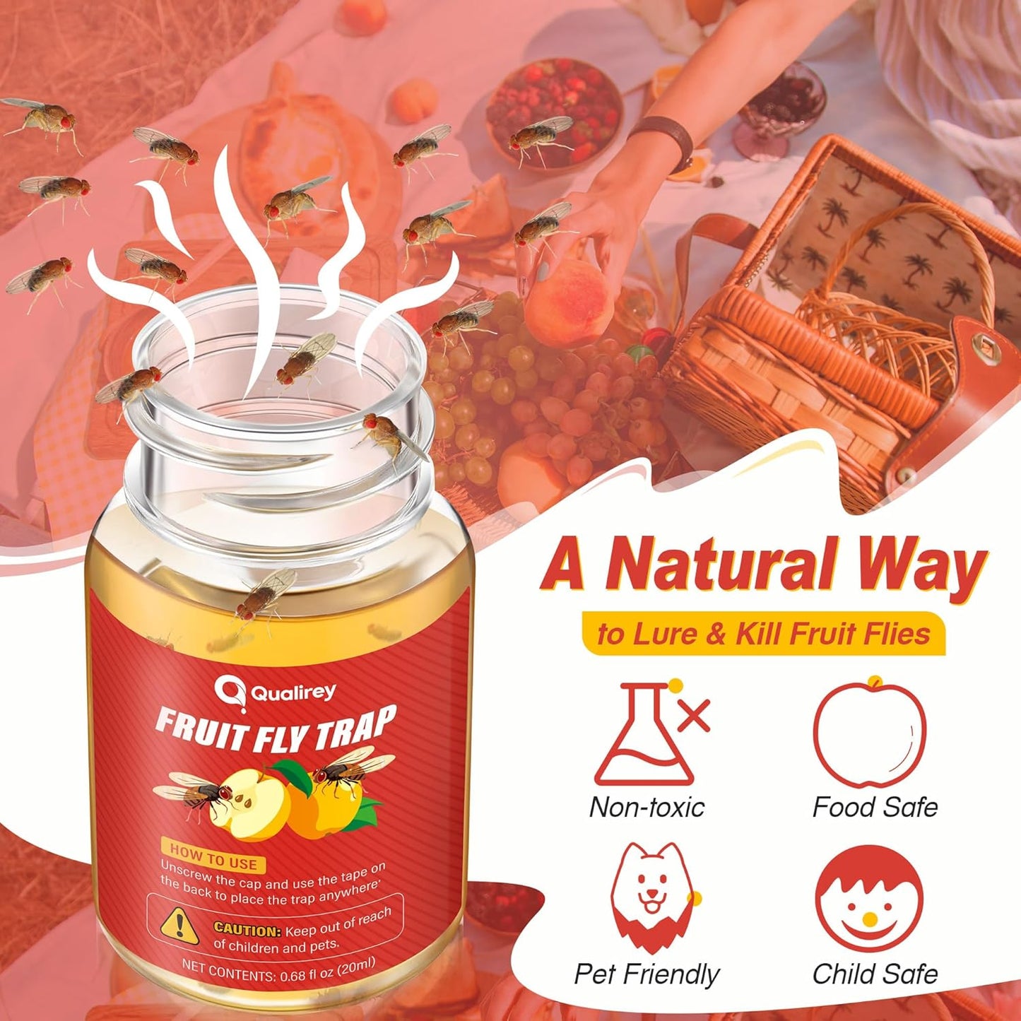 Qualirey 6 Pack Fruit Fly Traps for Indoors, Fruit Fly Killer and Catcher, Trap Refill Liquid for Home & Kitchen, Non Toxic Safe Near Food, Effective Lure Refill for Indoor Use