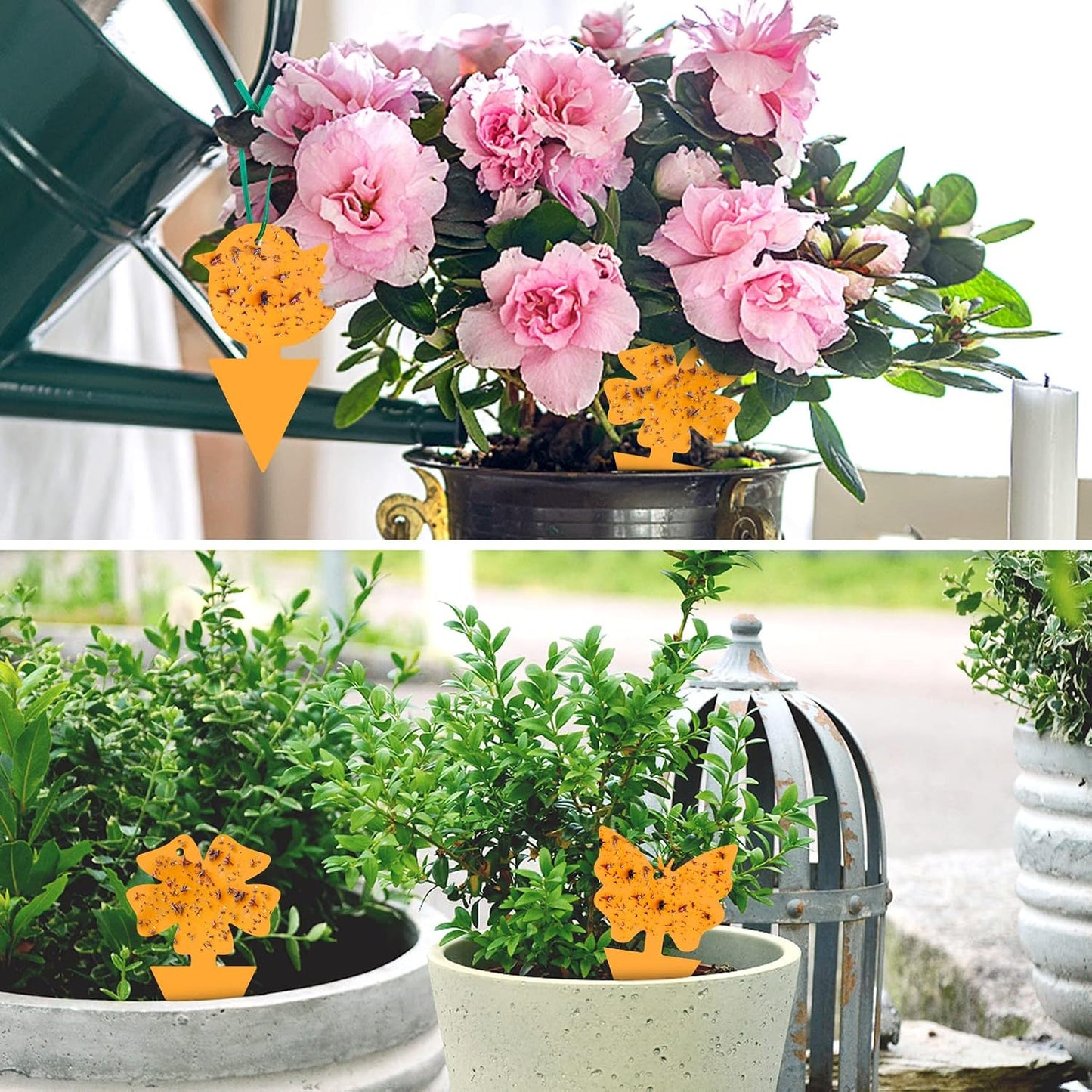 2 Pack Solar Wasp Traps Outdoor Hanging, Wasp Killer for Outside, Fits Hornet, Yellow Jacket & Bee, Suit for Garden, Orchard & Farm