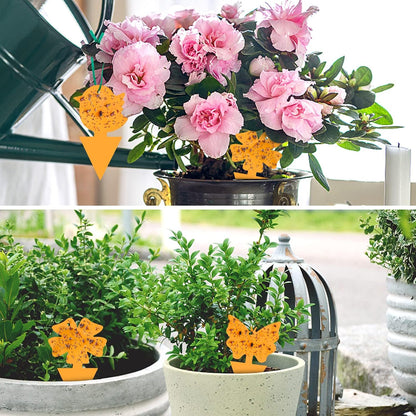 2 Pack Solar Wasp Traps Outdoor Hanging, Wasp Killer for Outside, Fits Hornet, Yellow Jacket & Bee, Suit for Garden, Orchard & Farm