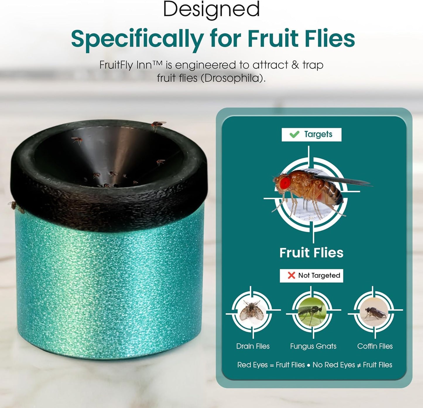 FruitFly Inn™ Decorative Fruit Fly Trap – Functional Art that Actually Works Indoors – Patent-Pending ScentVents™ for Over 6X Greater Scent Release, Escape-Proof, Dishwasher-Safe