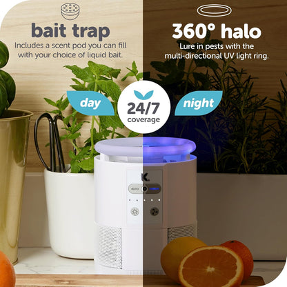 The Original Katchy Indoor Insect Trap - Fan Powered with UV Light - Fruit Fly Traps for Indoors - for Fruit Flies, Gnats, Mosquitoes, Moths (Black)