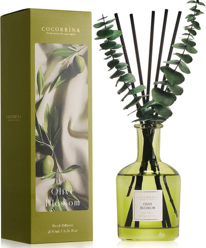 COCORRÍNA Wild Mint & Eucalyptus Reed Diffuser – 6.76 oz Essential Oil with 8 Reeds & Real Eucalyptus Sticks, Home Fragrance for Bedroom or Bathroom Décor