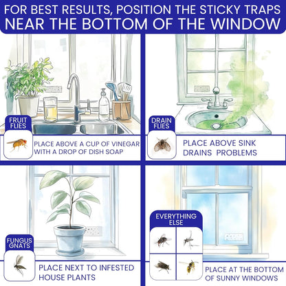 50 Window Fly Traps Sticky Non-Toxic Clear Fly Paper Indoor for Home. No Mess Flies Window Sticky Traps Bug Flies Strips Indoors. Fruit and Housefly Trap Indoor Flypaper Tape Gnat Catcher Killer.