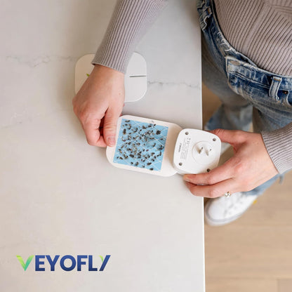 VEYOFLY Fruit Fly Traps for Indoors (2 Device + 4 Refills), Gnat Trap Indoor Plug in, Bug Traps, Flying Insect Trap, Gnat Traps for House Indoor, Fly Trap Indoor for Home Bug Light, Gnats Catcher