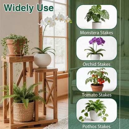 26Pcs Plant Support Combo, 5Pcs Stackable Monstera Plant Stakes Trellis+ 20Pcs Garden Clips + 1Pcs Ties, Moss Pole Alternative for Indoor Outdoor Climbing Vines Houseplants