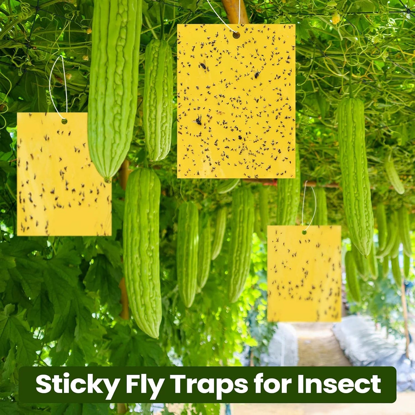 Qualirey 150 Pcs 6x8 Inch Yellow Sticky Traps for Gnats, Dual-Sided Sticky Gnat Traps for Indoor Outdoor Plants, Pest Control for Fungus Gnats, Fruit Flies, Whiteflies – Bulk Pack with Twist Ties