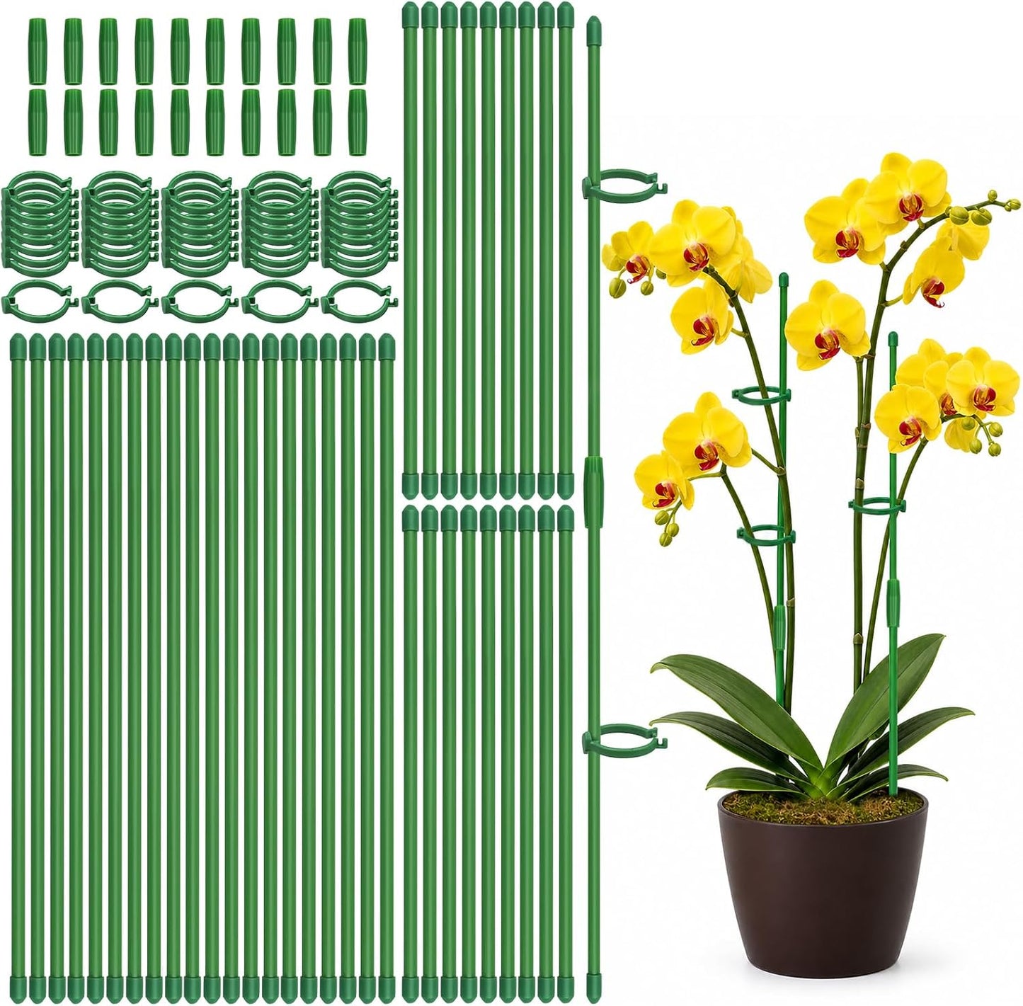 20 Pcs Plant Support Stakes, Indoor Plant Stakes Adjustable Length, Garden Sticks for Indoor Outdoor Plants, Plant Poles with with Rings Clip for Potted Plants Tomato Monstera Orchid