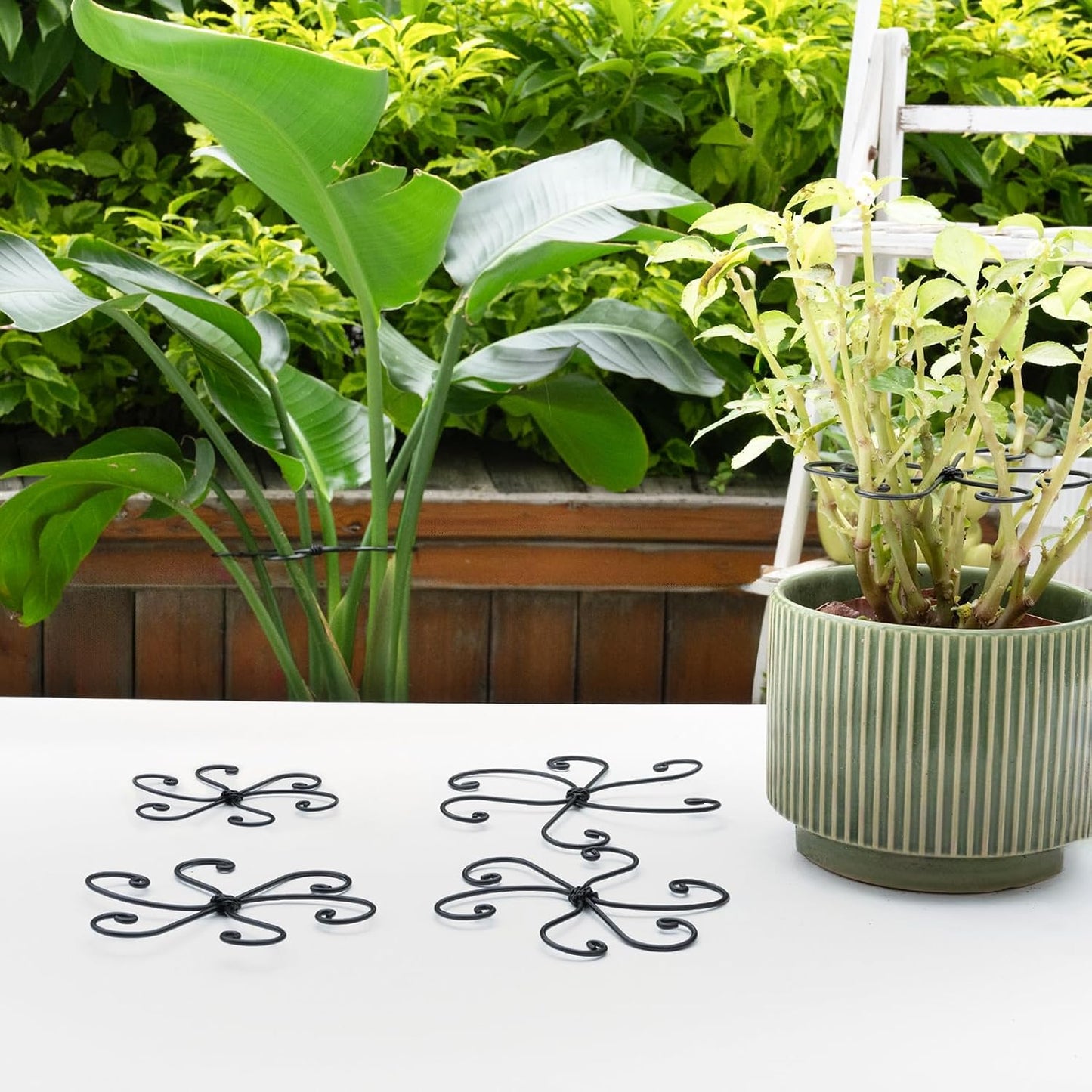 Yohsnor Monstera Plant Stem Support System - 5 Piece Set (5.5x4.7in) | Durable Plant Support Stakes for Climbing Plants & Fishbone Cactus | Ideal Leaf Stabilizer for Indoor Plants & Monstera Care