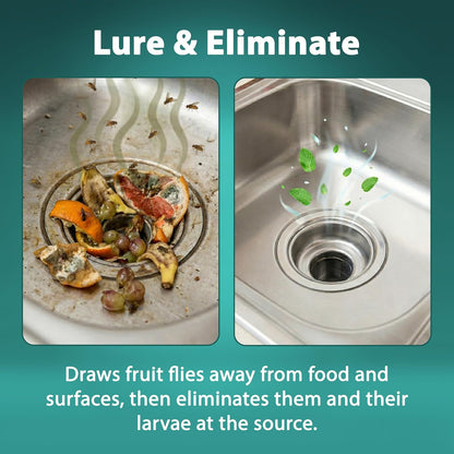 iFLO Bye Bye Fruit Fly Eliminator & Drain Cleaner – Mint Scent – Attracts & Eliminates Fruit Flies, Their Larvae, Drain Flies & Sewer Flies – Safe for Sink, Bathroom & Food Areas - 32oz