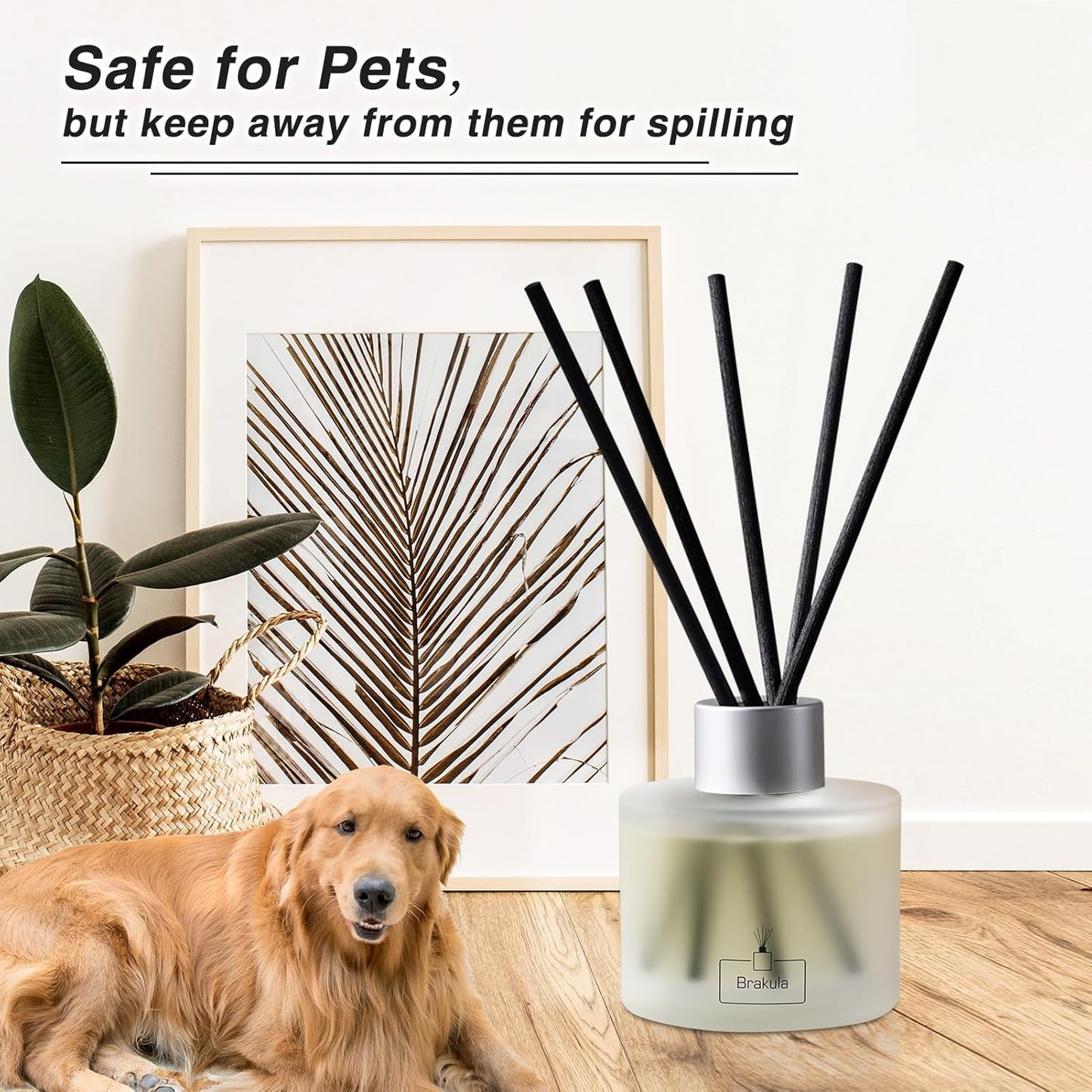 Brakula Reed Diffuser Set, 100ml Black Vanilla Scented Oil Diffuser for Bathroom, Home Fragrance for Living Room, Office
