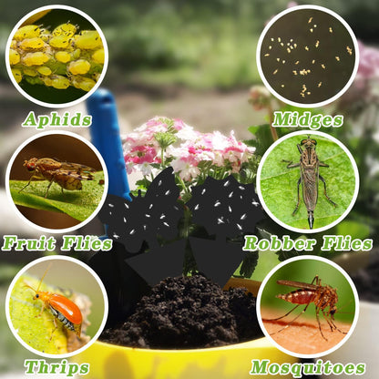 Fruit Fly Traps Indoor Fungus Gnat Trap 48PCS for Plants Yellow Houseplants Outdoor Use Insect Sticky