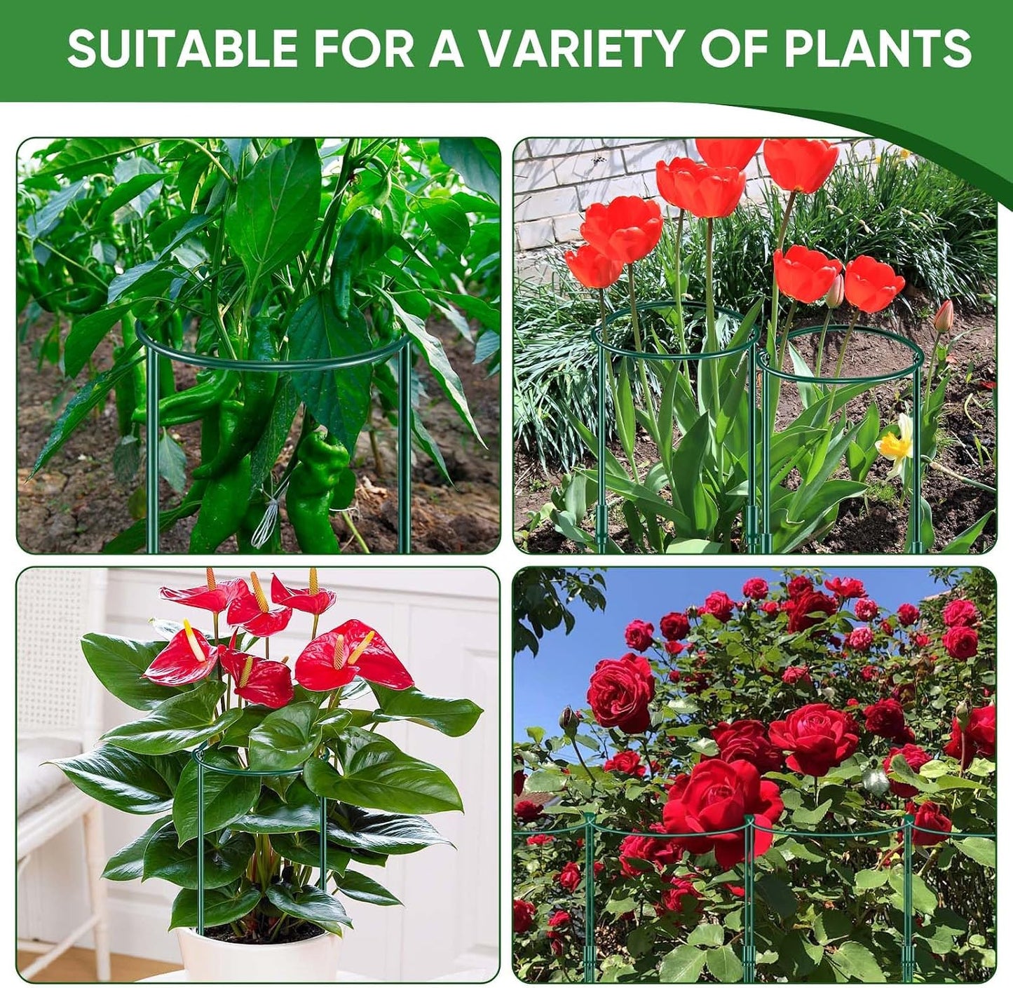 HiGift Plant Support Stakes, 6 Pack Metal Peony Cages and Supports, Garden Stakes Plant Support Cage, Large Plant Support Ring for Outdoor Indoor Snake Plant Peony Rose Flowers Vine (10" W x 15.8" H)