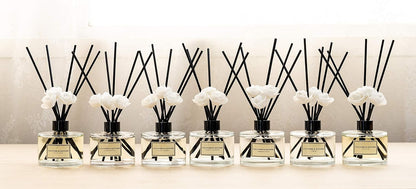 CULTURE & NATURE Reed Diffuser Set 4oz (120ml) Vanilla Scented Diffuser with Sticks Home Fragrance Reed Diffuser for Bathroom Shelf Decor
