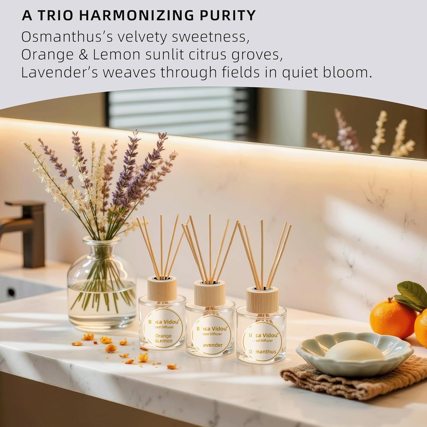 Reed Diffuser Set, Binca Vidou Lavender & Vanilla Natural Scent Oil Diffusers with Sticks for Home Office Bathroom Aromatherapy Decor 1.69oz x 2