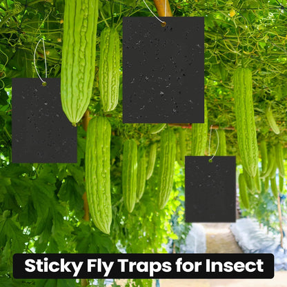 Qualirey 150 Pcs 6x8 Inch Yellow Sticky Traps for Gnats, Dual-Sided Sticky Gnat Traps for Indoor Outdoor Plants, Pest Control for Fungus Gnats, Fruit Flies, Whiteflies – Bulk Pack with Twist Ties